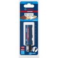 pila-otsornica-expert-construction-material-25x60-mm-bosch-2608900454.jpg